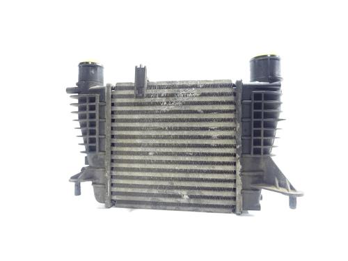 Intercooler RENAULT MODUS / GRAND MODUS (F/JP0_) 1.5 dCi 75 (75 hp) 28964451