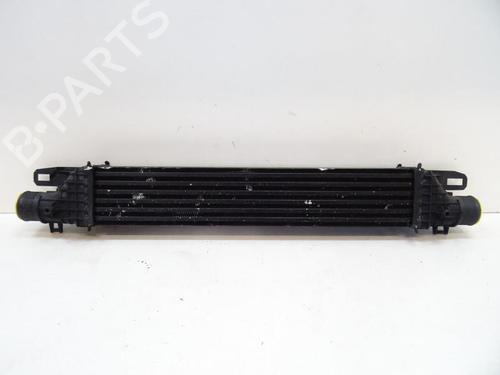 Used Intercooler ALFA ROMEO GIULIETTA (940_) 1.4 TB (940FXA1A, 940FXT1A) (120 hp) 20055684