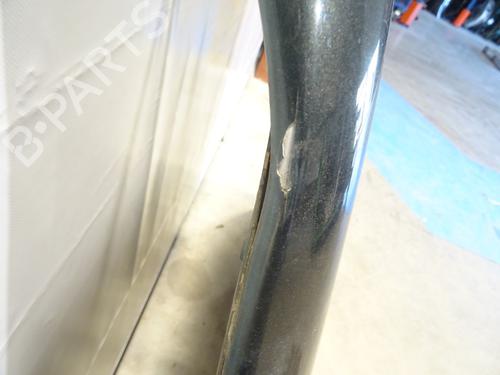 Capot Capot LAND ROVER DEFENDER Station Wagon (L316, L315) 2.5 Td5 4x4 (L316) (122 hp) 31297659 31297659