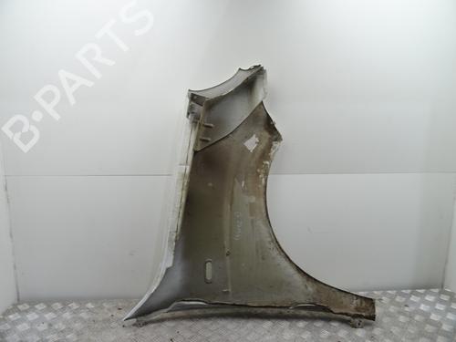 Left front fenders FIAT DOBLO MPV (119_, 223_) 1.3 D Multijet | BP28908412C41 
