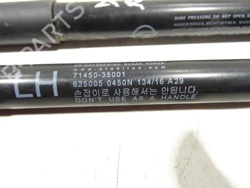 Tailgate lift support SSANGYONG TIVOLI 1.6 XDi 160 | BP32195866C138