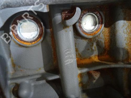 Engine SUZUKI SWIFT IV (FZ, NZ) 1.3 DDiS (AZG413D, ZC02S, ZC92S) | BP29861394M1
