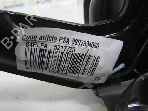 Pedal PEUGEOT 208 I (CA_, CC_) 1.5 BlueHDI 100 | BP20069969I4 