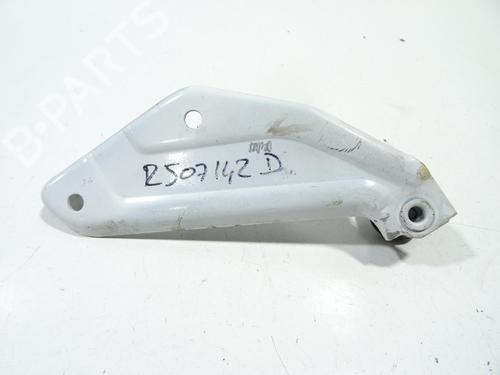 hingedoor-check-strap-renault-kangoo-express-fw01_-2008-33314631 main image