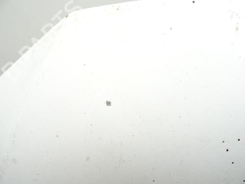 Hood VW TIGUAN (5N_) 2.0 TDI | BP29908763C1 