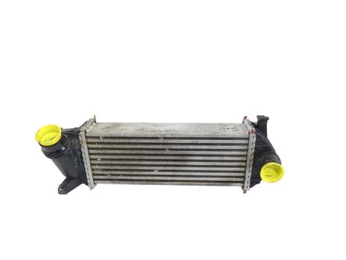 Intercooler RENAULT KANGOO Express (FW0/1_) | BP35888295M30 - Image 6