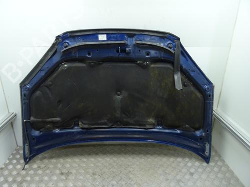 hood-toyota-rav-4-ii-_a2_-2000-2001-2002-2003-2004-2005-25743694 main image
