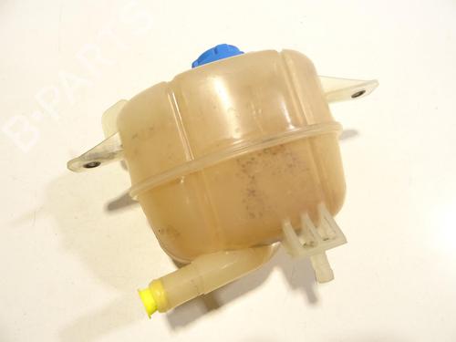 Expansion tank CITROËN NEMO Box Body/MPV (AA_) 1.3 HDi 75 | BP28951929C120 