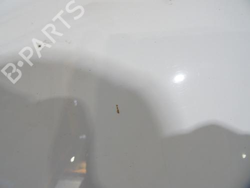 Forskærm venstre RENAULT CLIO V (B7_) 1.0 SCe 75 (B7M5) | BP38561858C41 - Image 3