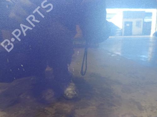 Right front door RENAULT CLIO III (BR0/1, CR0/1) 1.6 16V GT (BR10, CR10) | BP31293598C3