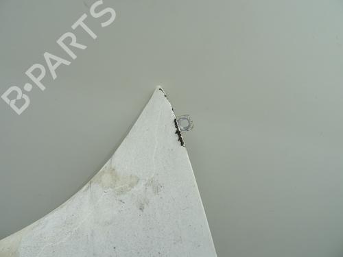 Left front fenders FIAT DOBLO MPV (119_, 223_) 1.3 D Multijet | BP28908412C41 