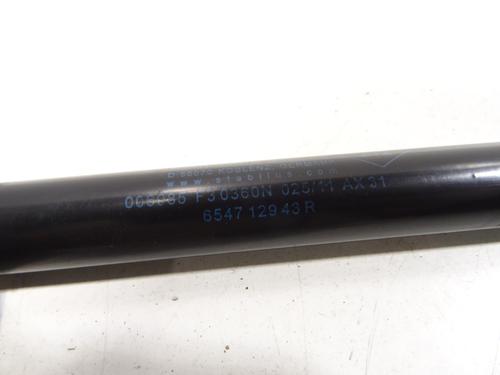 Hood lift support DACIA DUSTER (HS_) 1.5 dCi 4x4 (HSMC, HSMD) | BP28360832C139 