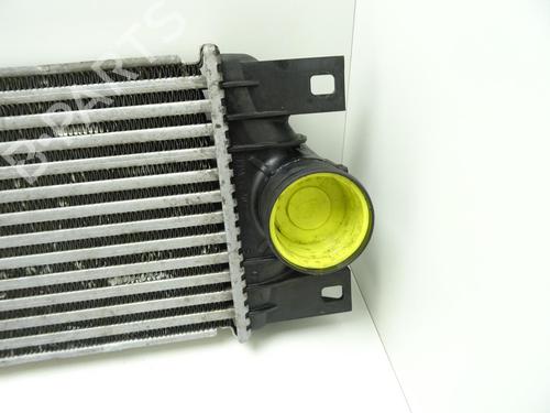 Intercooler RENAULT MASTER II Van (FD) 2.5 dCi (FD02) | BP29188425M30 