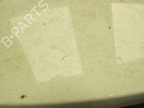 Tailgate FIAT 500 (312_) 1.2 (312AXA1A) | BP21594735C6