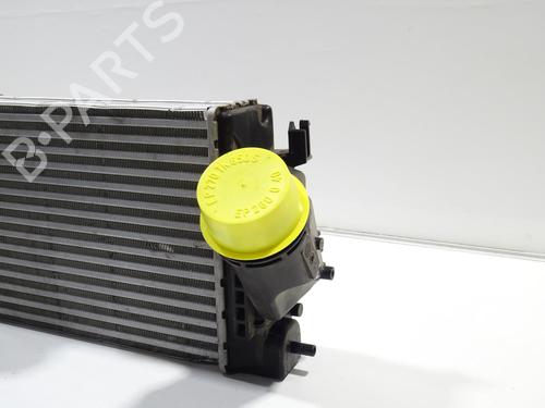 Used Intercooler Intercooler RENAULT MEGANE IV Hatchback (B9A/M/N_) 1.6 dCi 130 (B9A4) (130 hp) 20177794 20177794