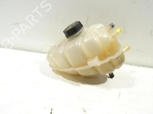 Ekpansionstank FORD S-MAX (CJ, WA6) 2.0 TDCi 4x4 | BP32302279C120