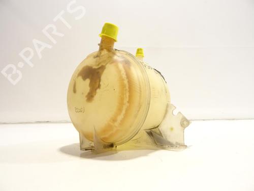 Expansion tank DACIA SANDERO 1.4 (BS0C, BS0A, BS0G, BS1F, BS0E) | BP28964479C120