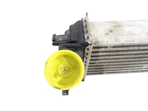 Intercooler RENAULT KANGOO Express (FW0/1_) | BP35888295M30 - Image 4