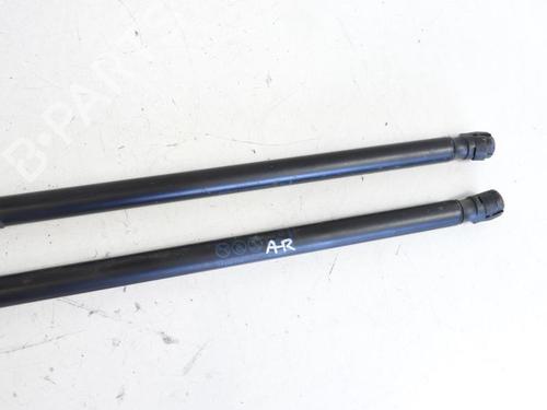 Tailgate lift support OPEL ASTRA J (P10) 1.7 CDTI (68) | BP20043049C138 