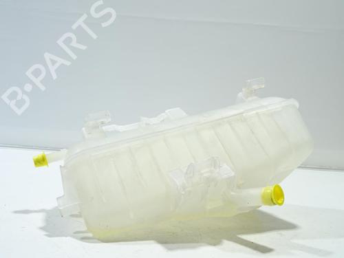 Expansion tank RENAULT KANGOO Express (FW0/1_) Z.E. (FW0Z, FW1Z) | BP27377381C120 