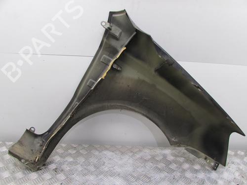 Left front fenders FIAT PANDA (169_) 1.3 D Multijet (169.AXC1A) | BP25594462C41 