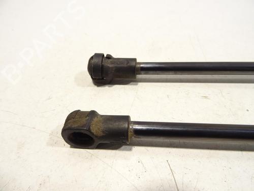 Tailgate lift support SUZUKI IGNIS III (MF, FF) 1.2 (ATK412) | BP29863407C138