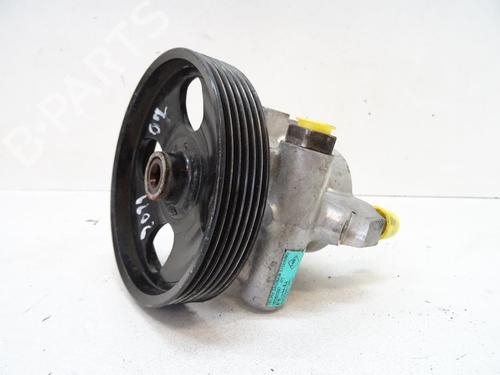 Steering pump RENAULT LAGUNA I (B56_, 556_) 1.9 dCi (B56W) | BP20066439M99 
