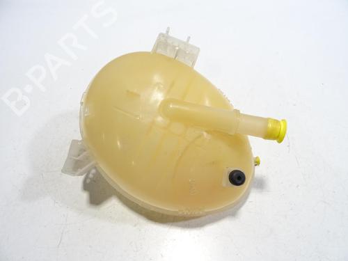 Expansion tank FORD FIESTA VII (HJ, HF) 1.0 EcoBoost | BP29756903C120