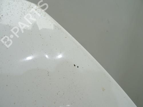 Hood PEUGEOT EXPERT Van (VF3A_, VF3U_, VF3X_) 2.0 HDi 130 | BP28497147C1