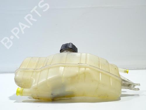Expansion tank RENAULT CLIO III (BR0/1, CR0/1) 1.5 dCi (BR17, CR17) | BP22768189C120 