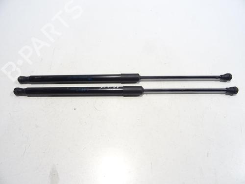 Used Tailgate lift support RENAULT CLIO V (B7_) 1.0 TCe 100 (B7MT) (101 hp) 29071384