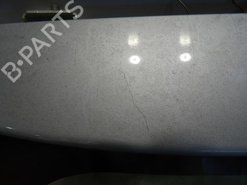 Tailgate SUZUKI SX4 (EY, GY) 1.9 DDiS 4x4 (RW419D) | BP31313436C6