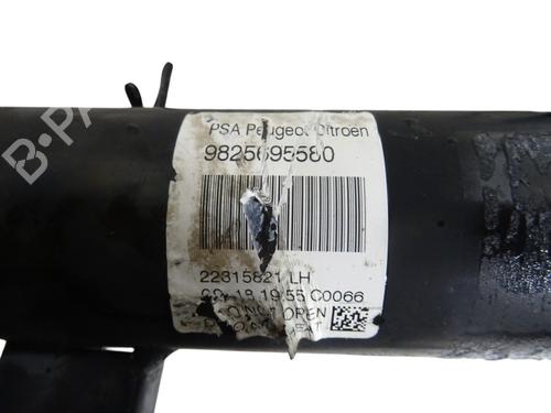 Used Left front shock absorber Left front shock absorber DS DS 3 (SA_) 1.2 VTi 82 (SAHMZ6) (82 hp) 40016735 40016735