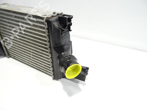Intercooler DACIA SANDERO II 1.5 dCi | BP20062094M30  - Image 5