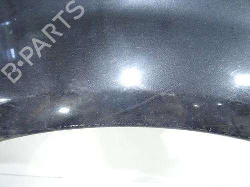 Left front fenders RENAULT SCÉNIC II (JM0/1_) 1.5 dCi (JM1E, JM16) | BP32314732C41 