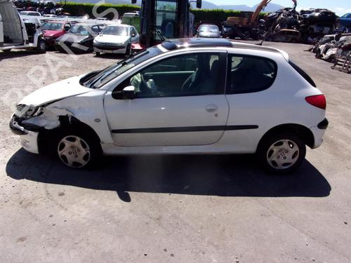 Steering pump PEUGEOT 206 Hatchback (2A/C)  | BP20048513M99 
