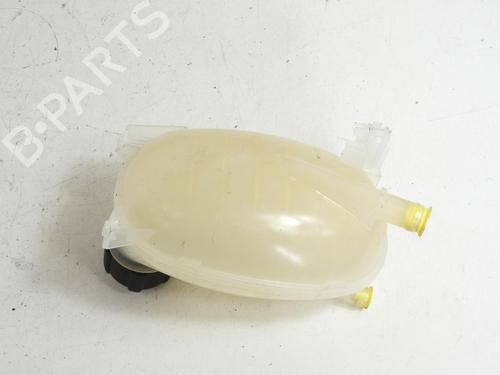 Used Expansion tank RENAULT CLIO V (B7_) 1.0 SCe 65 (B7MR) (65 hp) 20066536