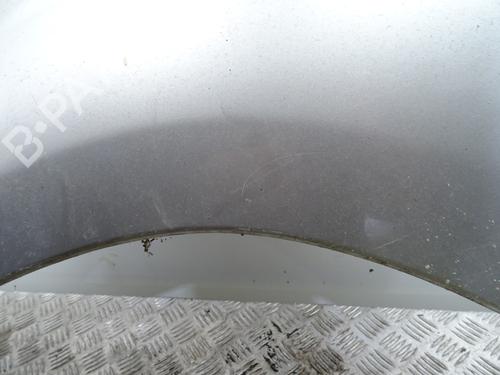 Left front fenders NISSAN X-TRAIL I (T30) 2.2 Di 4x4 | BP29838882C41 