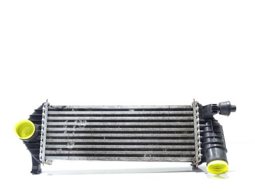 Intercooler RENAULT KANGOO / GRAND KANGOO II (KW0/1_) 1.5 dCi 90 (KW05, KW08, KW0G, KW11) (90 hp) 28047847