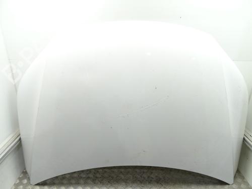 Used Hood VW TIGUAN (5N_) 2.0 TDI (140 hp) 29908763