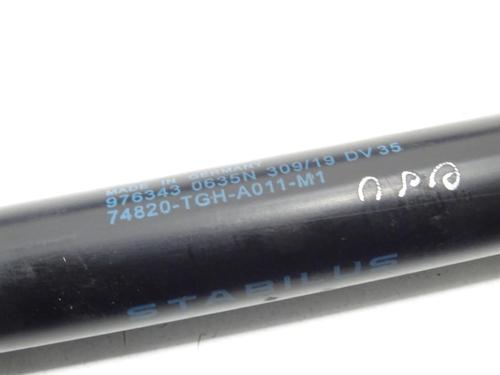 tailgate-lift-support-honda-civic-x-hatchback-fc_-fk_-2016-31362499 main image