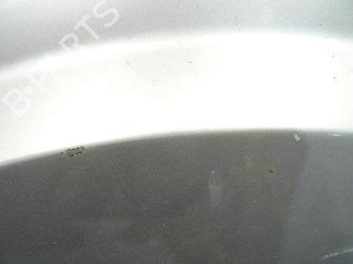 Left front fenders FORD FUSION (JU_) 1.4 TDCi | BP29353419C41 