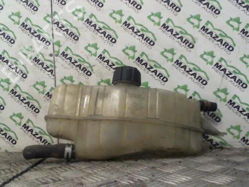 Used Expansion tank RENAULT CLIO III (BR0/1, CR0/1) 1.5 dCi (BR17, CR17) (86 hp) 20049101