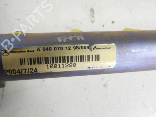 Used Injection rail Injection rail MERCEDES-BENZ A-CLASS (W169) A 200 CDI (169.008, 169.308) (140 hp) 20067331 20067331