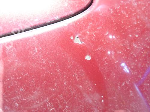 Used Hood Hood 37503120 37503120