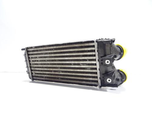 intercooler-citroen-ds4-nx_-2011-2012-2013-2014-2015-27516233 main image
