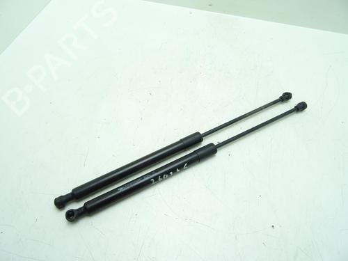 gasdmper-bagklap-citroen-c3-ii-sc_-2009-32396523 main image