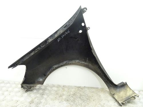 Right front fenders RENAULT CLIO III (BR0/1, CR0/1) 1.5 dCi (BR17, CR17) | BP29353436C42 