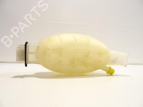 Expansion tank RENAULT TRAFIC II Bus (JL) 2.0 dCi 90 (JL00, JL01, JL0H, JL0M, JL0P, JL0S) | BP27593878C120 