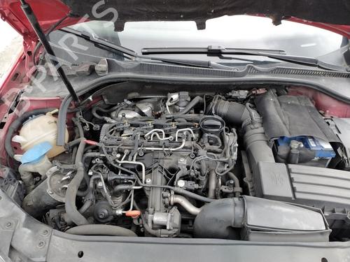 Engine VW GOLF VI (5K1) 1.6 TDI | BP36673639M1 - Image 17